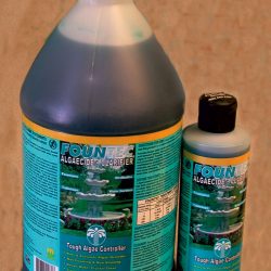 FOUNTEC ALGAECIDAL/CLARIFIER 8 OZ (TREATS 9600 GALLONS)